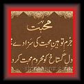 Toheen-e-Mohabbat 01 * 479 x 357 * (41KB)